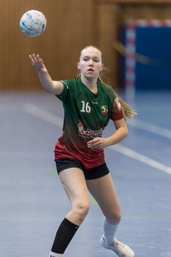 Bild 234 - wBJ HSG Kremperheide/Muensterdorf - HSG Joerl-Doppeleiche Vioel : Ergebnis: 34:23